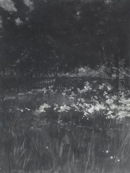 Onteora Landscape - view 1