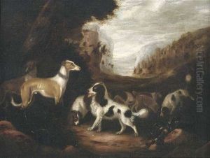 Ein Rudel Jagdhunde Nimmt Fahrte Auf