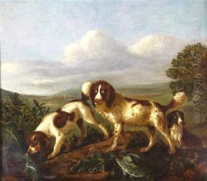 Spaniels Hunting In A Landscape