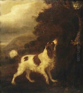 An English Springer Spaniel And A Grey Cat In A Landscape