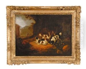 Meute D'epagneuls Au Repos by Adriaen Cornelisz Beeldemaker