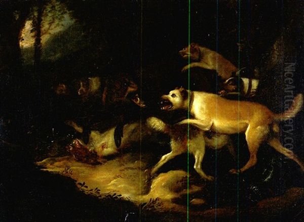 Sieben Jagdhunde Attackieren Einen Keiler - view 1