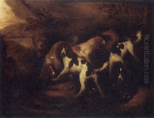Hunting Dogs In A Forest - view 1