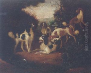 Spaniels In A Woodland Clearing