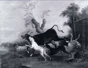 L'attaque Du Taureau L'attaque Du Taureau