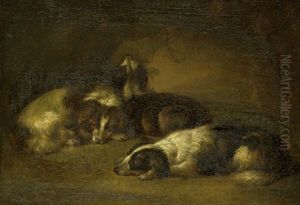 Ruhende Hunde by Johannes Beeldemaker