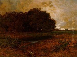 Moorlandschaft