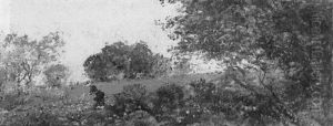 A Lady In A Glade