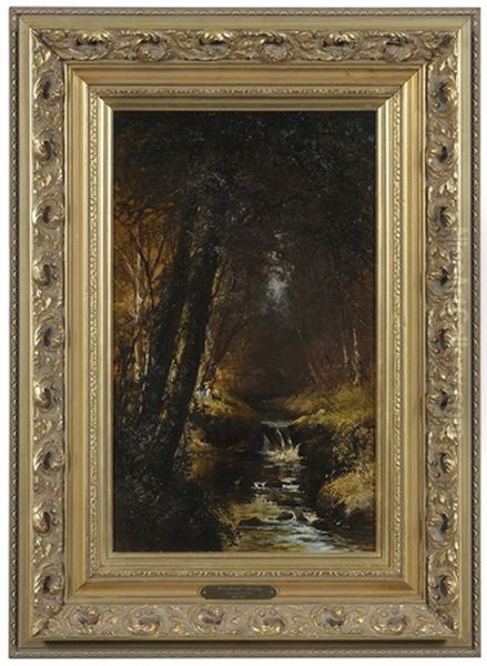 Woodland Stream - view 1
