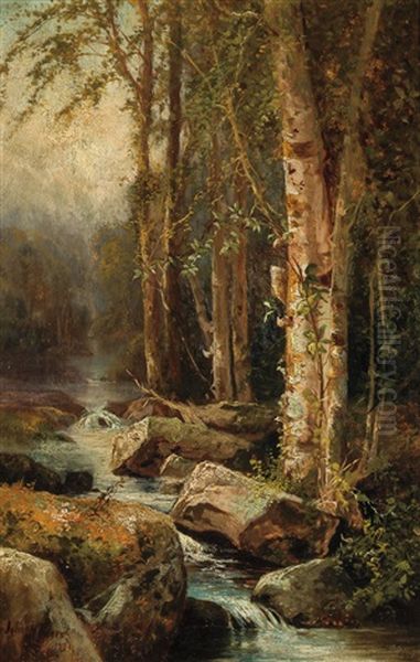 Birch Trees By The River - view 1