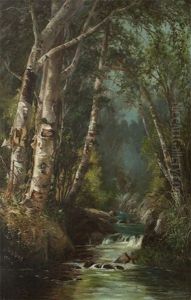 Birches And Mountain Stream by Julie (Hart) Beers