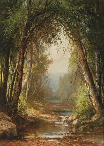 The Quiet Brook - view 1
