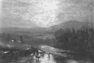 Cattle Watering In A River Cattle Watering In A River