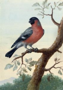 Study Of A Red-breasted Bird On A Branch by Christophe-Ludwig Agricola