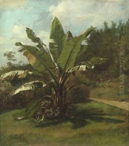 Sommerlicher Garten In Wannsee Mit Bananenstaude (im Garten Des Malers Oskar Begas Am Kleinen Wannsee?)