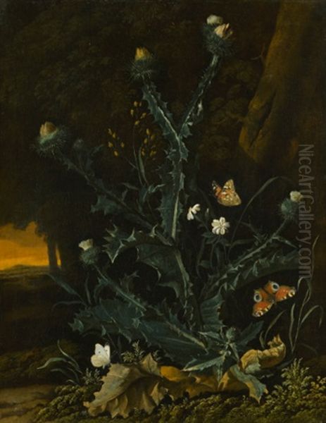 Forest Floor Still Life, With A Thistle - view 1
