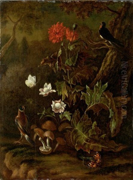 Buntes Waldbodenstillleben - view 1