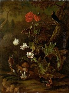 Buntes Waldbodenstillleben