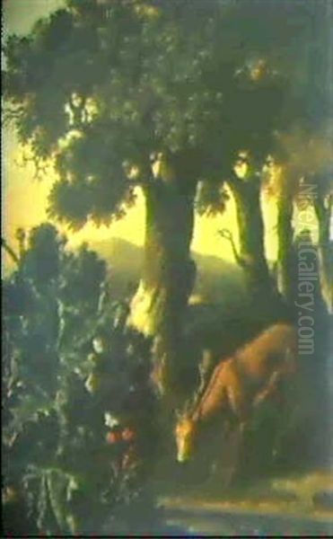 Baumreiche Landschaft Mit Weidendem Rehbock - view 1