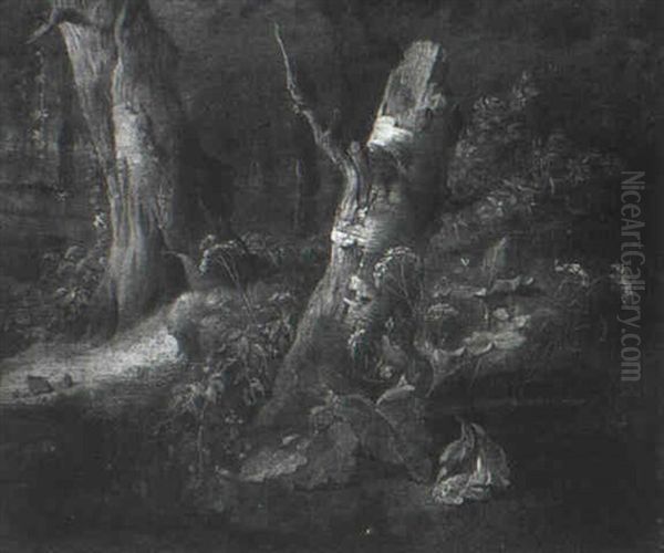 The Stump Of A Birch Tree Surrounded By Flowers And         Plants - view 1