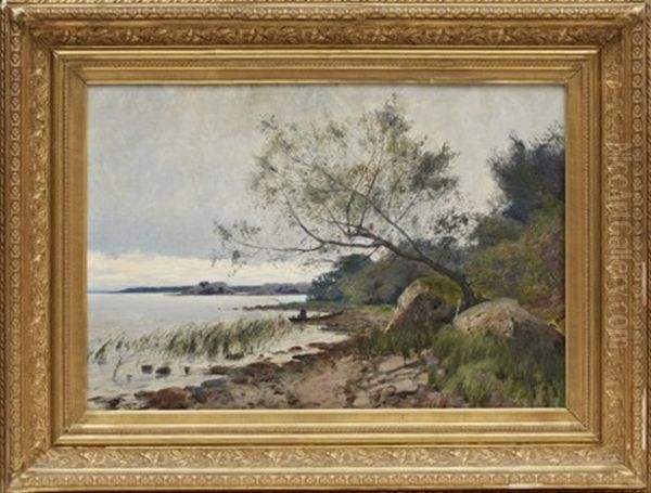 Metande Pojke Vid Strandkant - view 1