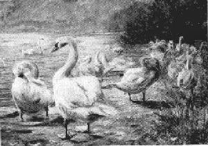 Preening by Adolphe Behrens