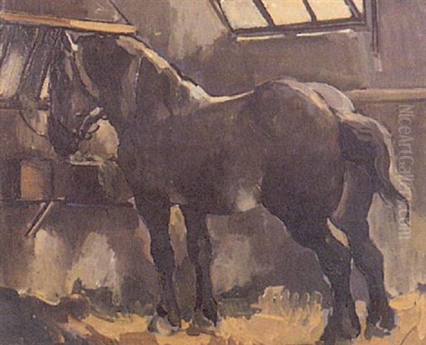 Percheron - view 1