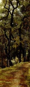 Viottolo Nel Bosco by Adolfo Belimbau