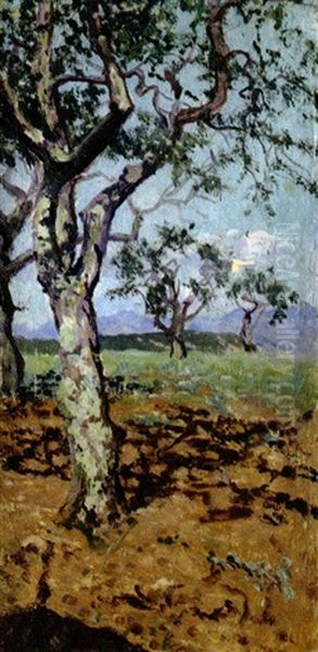 Ulivi - view 1