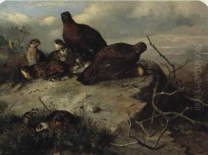 Red Grouse by John Clement Bell