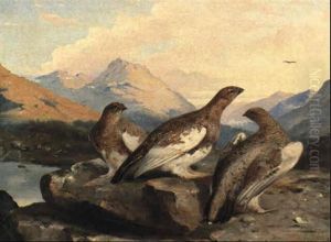 Grouse by John Clement Bell