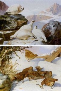 Ptarmigan In Winter by John Clement Bell