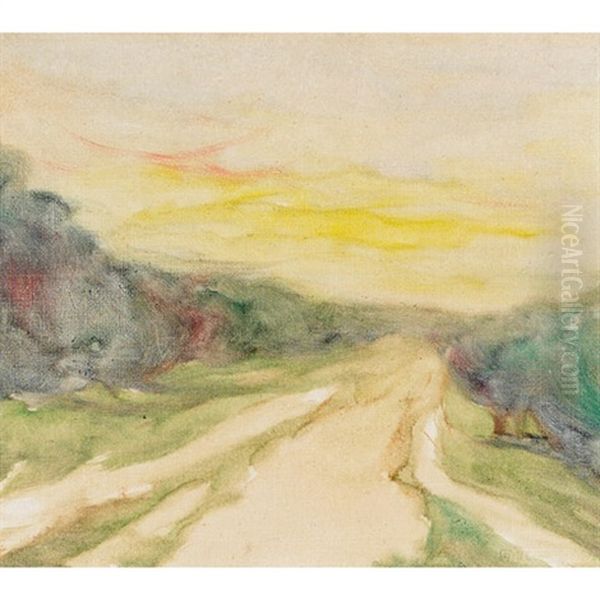 Path At Sunset - view 1