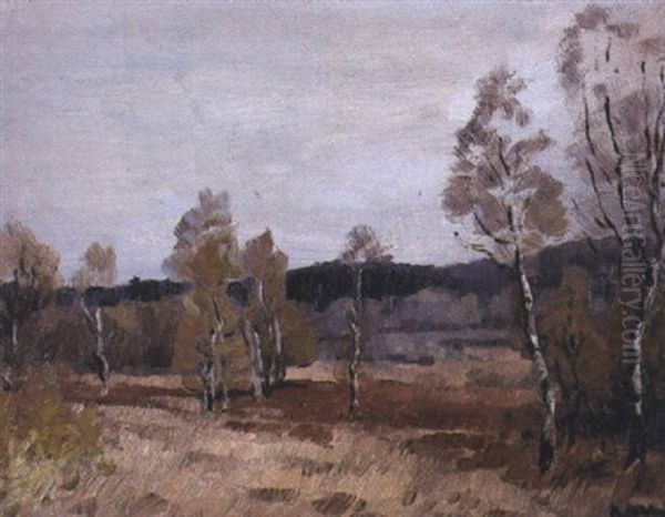 La Foret De Rambouillet - view 1