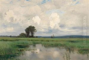 Sumpfige Landschaft