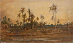 Oasis