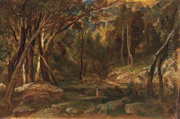 Waldlandschaft - view 1