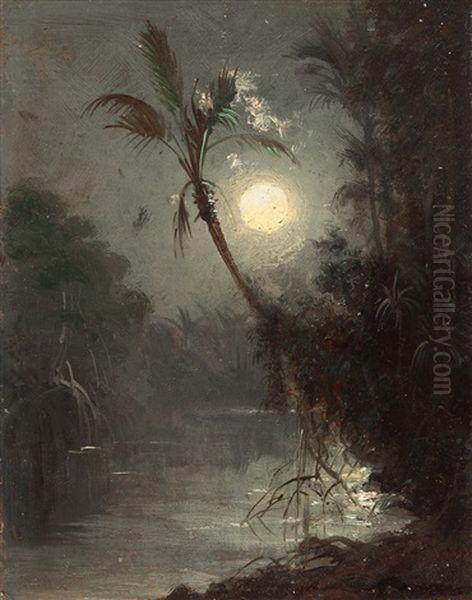 Tropischer Fluss Im Mondschein (venezuela) - view 1