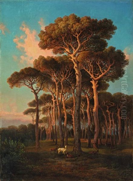 Abend Unter Den Pinien (villa Doria Pamphili) - view 1