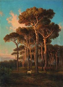 Abend Unter Den Pinien (villa Doria Pamphili)