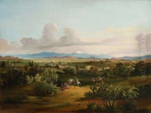 Sudamerikanische Landschaft