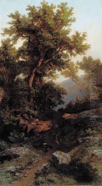 A Gully, Venezuela - view 1