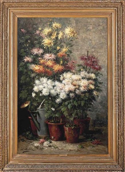 Chrysanthemums Potted In The Garden - view 1