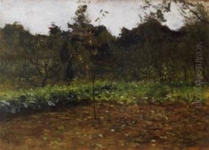 A Vegetable Patch