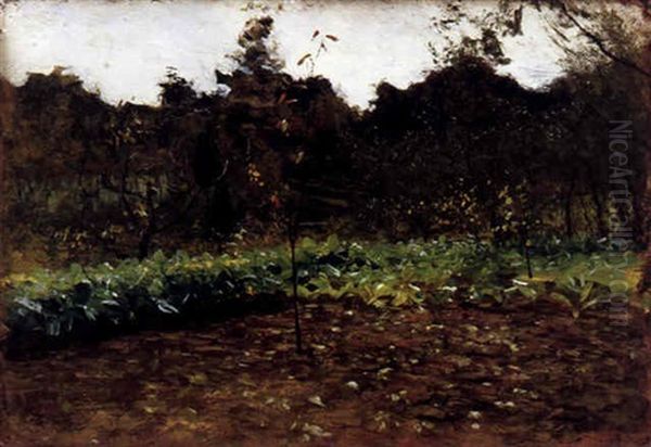 A View Of A Vegetable Garden Near Genoa - view 1