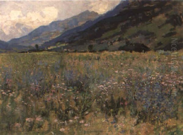 An Alpine Meadow - view 1