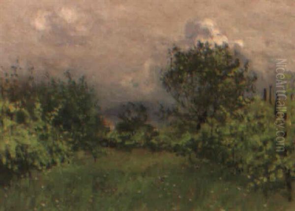 An Orchard - view 1