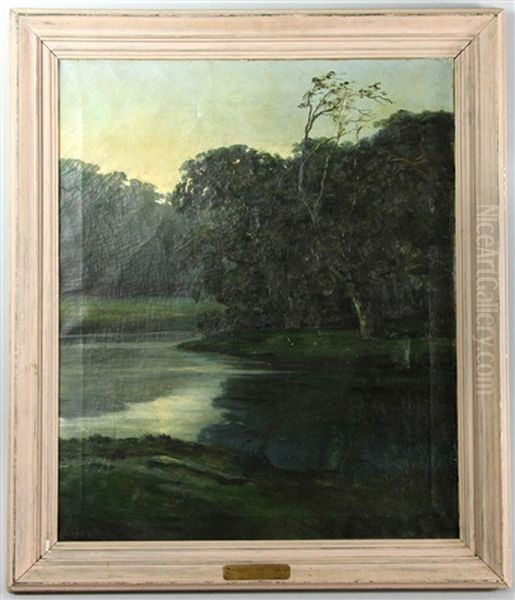 Swamp View - view 1
