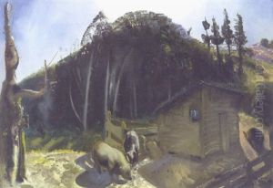 Three Pigs And A Mountain