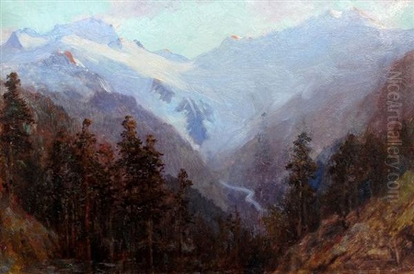 A Valley In The Selkirks, Bc - view 1